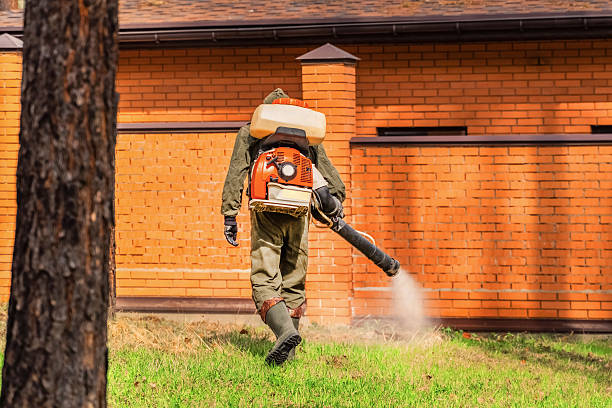 Trusted Emergency Pest Control service in Council Grove, KS - Nex Pest Control